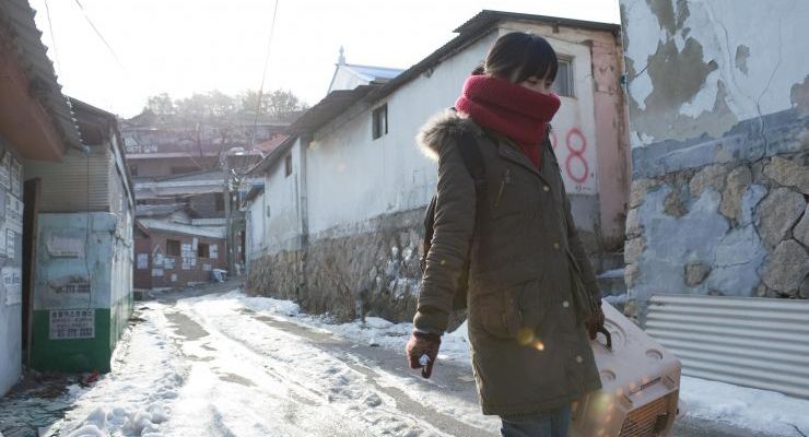 Hye-hwa helps stay dogs in the barren landscape