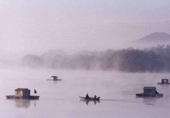 The cinematography in The Isle emulates traditional paintings The cinematography in The Isle emulates traditional paintings