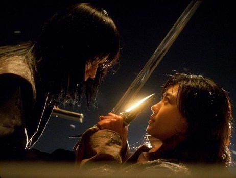 The lover's displays of martial arts convey their longing