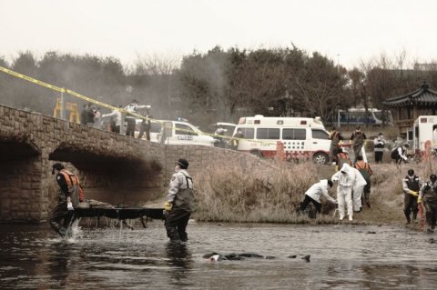 Bodies begin mysteriously appearing in rivers, with the cause of death unknown Bodies begin mysteriously appearing in rivers, with the cause of death unknown