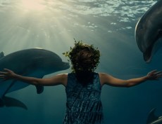 Dear Dolphin (환상속의 그대)