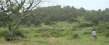 Warmer Than Expected